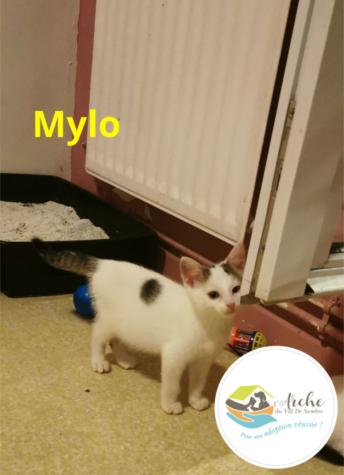 Mylo