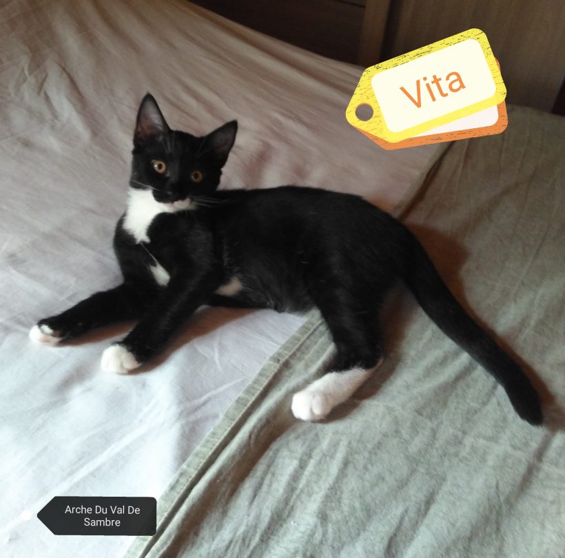 Vita