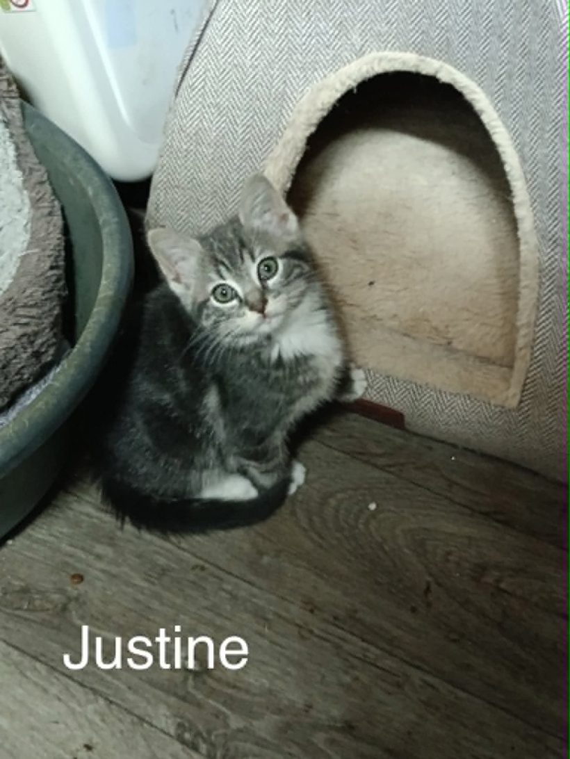 Justine