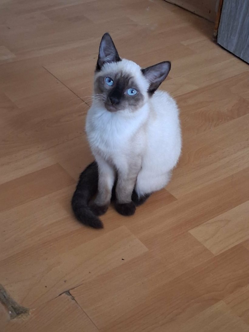 Aby